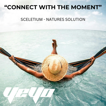 South African Sceletium (Kanna) Powder for Enhanced Focus